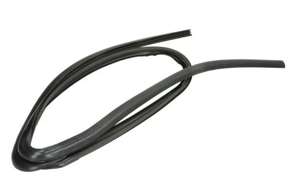 Elemente decorative/protectie, parbriz