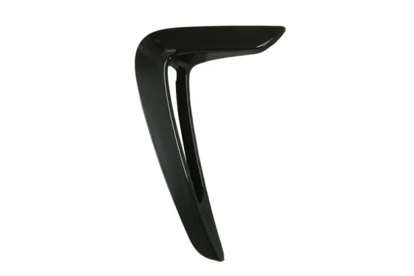 Elemente decorative/protectie, aripa