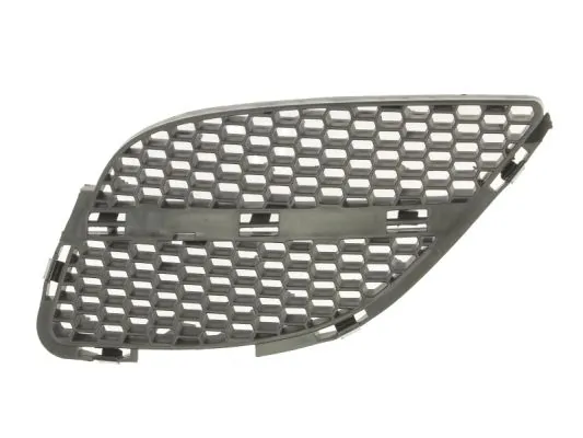 Grila radiator