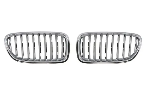 Grila radiator BLIC 6502-07-0067997BP