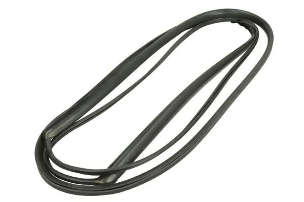 Elemente decorative/protectie parbriz