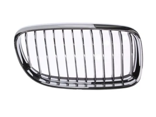 Grila radiator BLIC 6502-07-0062992PP