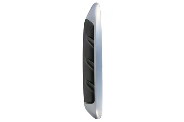 Elemente decorative/protectie, aripa