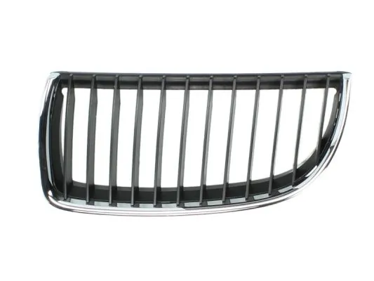 Grila radiator