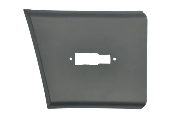 Elemente decorative/protectie aripa