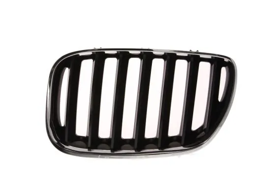 Grila radiator