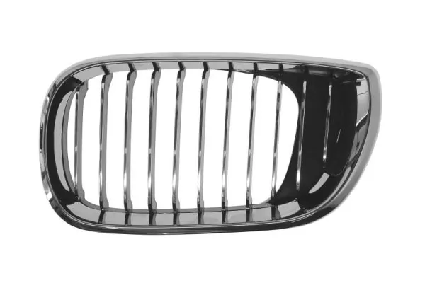 Grila radiator