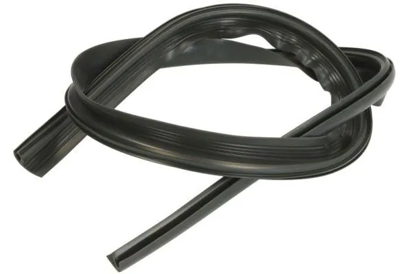 Elemente decorative/protectie, parbriz