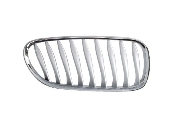 Grila radiator