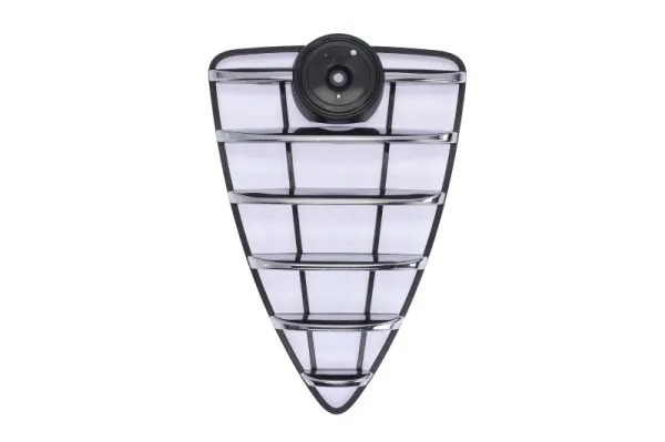 Grila radiator