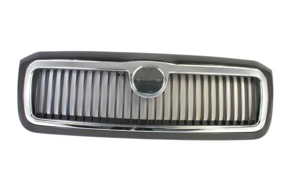 Grila radiator
