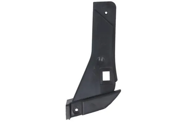 Elemente decorative/protectie parbriz