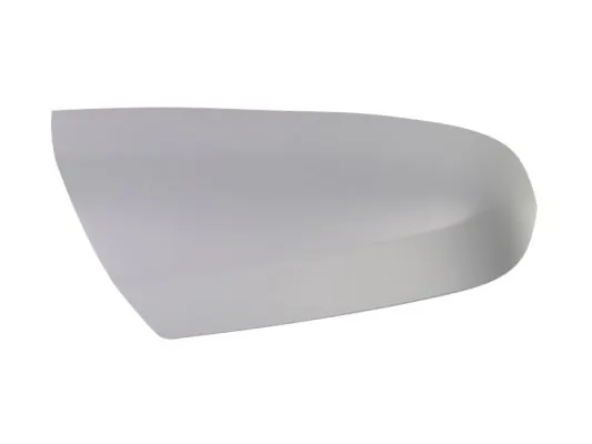 Carcasa oglinda exterioara