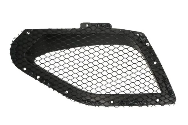 Grila radiator