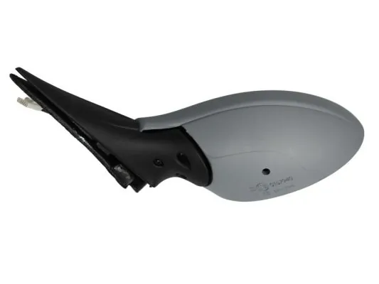 Oglinda exterioara