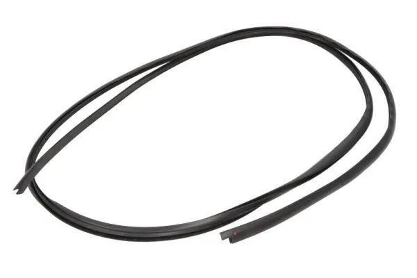 Elemente decorative/protectie parbriz