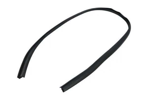 Elemente decorative/protectie parbriz
