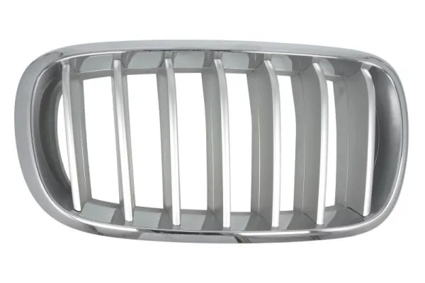 Grila radiator