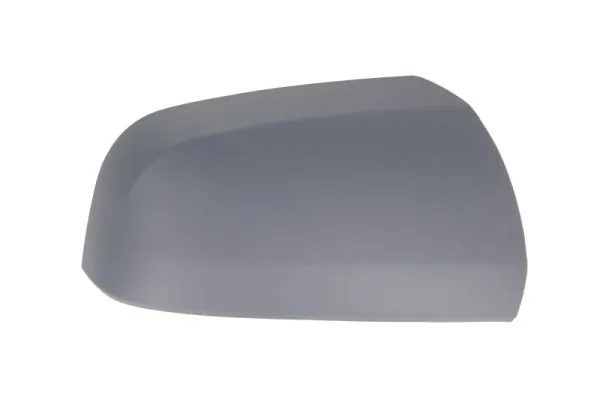 Carcasa oglinda exterioara