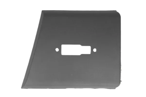 Elemente decorative/protectie aripa