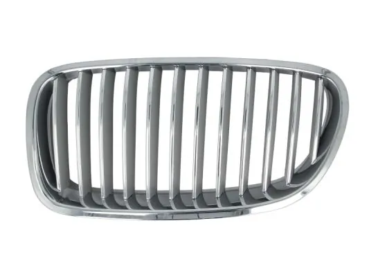 Grila radiator