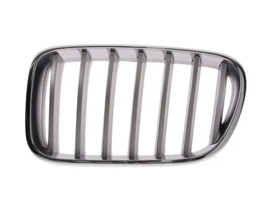 Grila radiator
