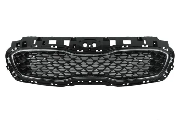 Grila radiator