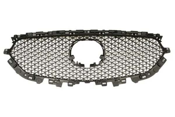 Grila radiator