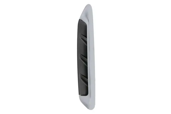 Elemente decorative/protectie aripa