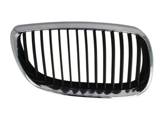 Grila radiator
