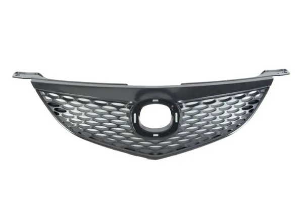 Grila radiator