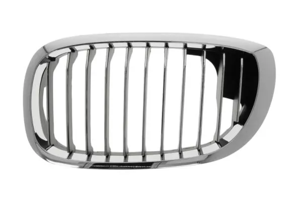 Grila radiator