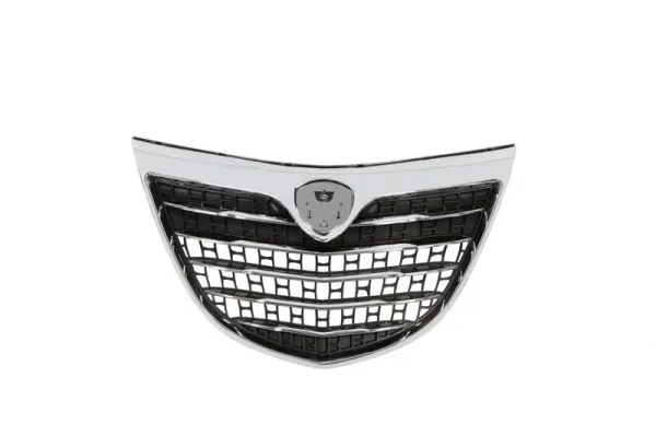 Grila radiator