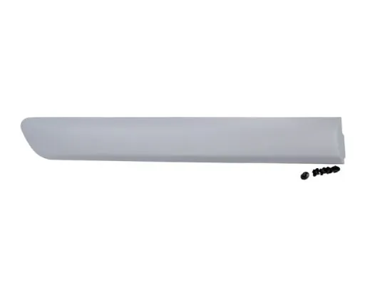 Elemente decorative/protectie aripa
