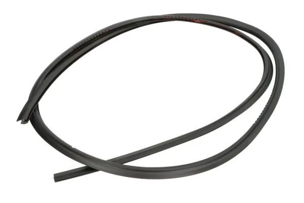 Elemente decorative/protectie, parbriz