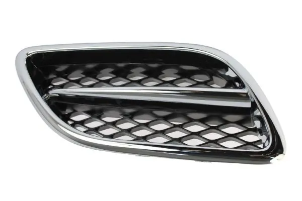 Grila radiator
