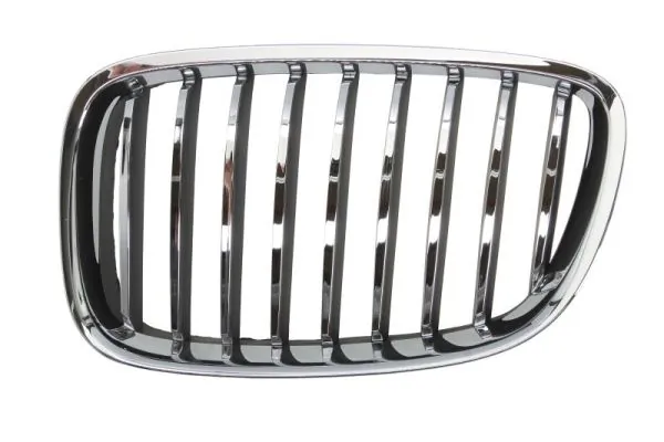 Grila radiator