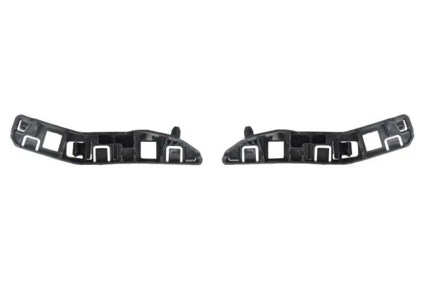 Elemente decorative/protectie parbriz
