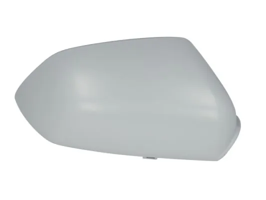 Carcasa oglinda exterioara