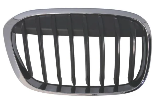 Grila radiator