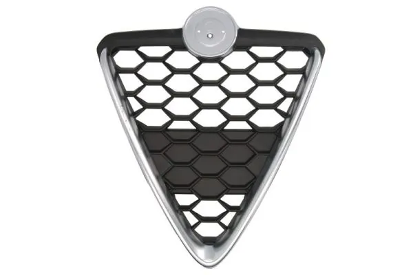Grila radiator