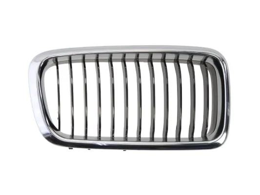 Grila radiator