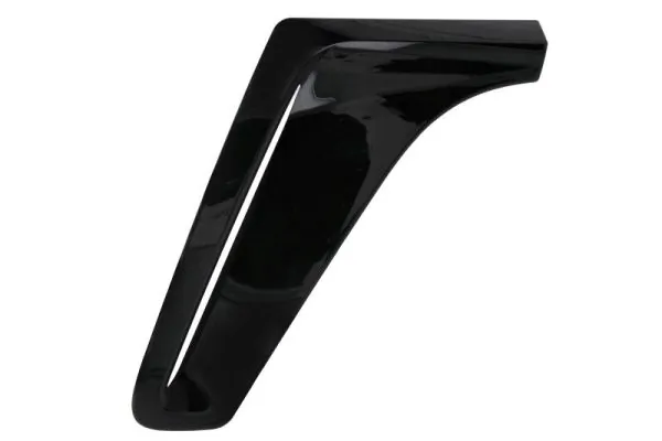 Elemente decorative/protectie aripa