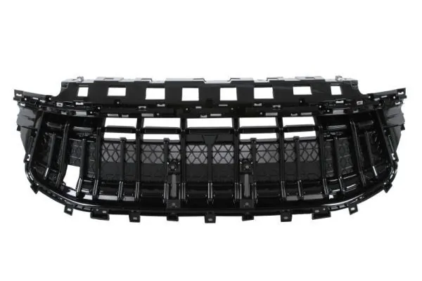 Grila radiator