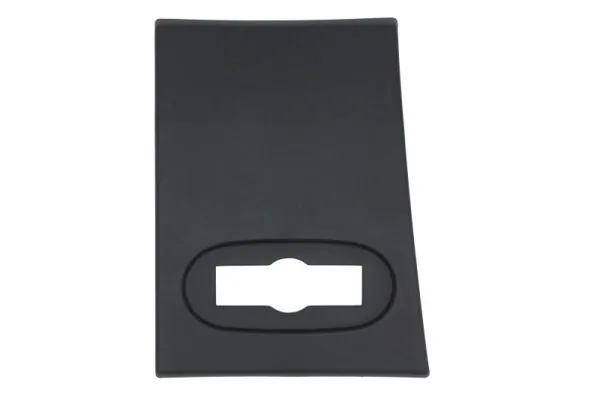 Elemente decorative/protectie panou lateral