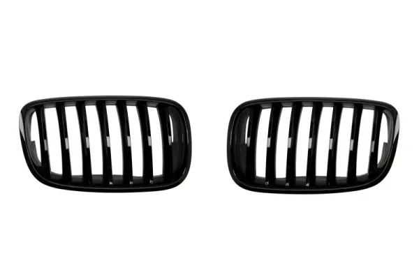 Grila radiator