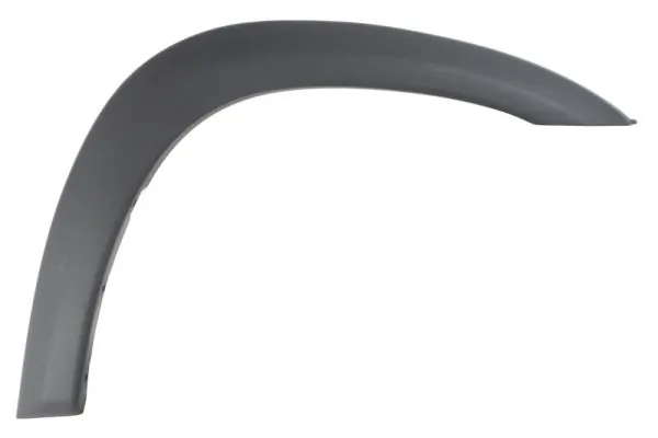 Elemente decorative/protectie, aripa