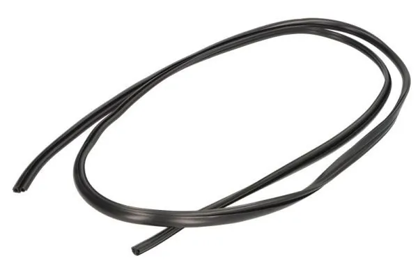 Elemente decorative/protectie parbriz