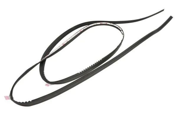 Elemente decorative/protectie parbriz