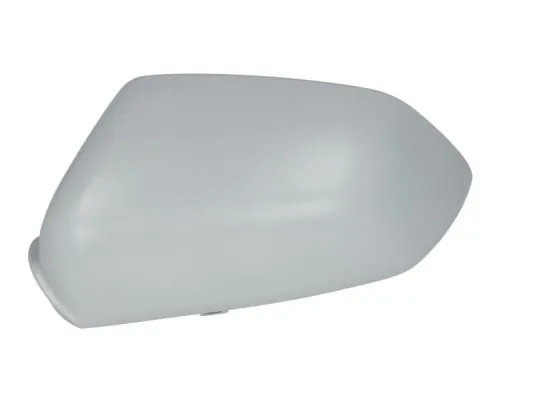 Carcasa oglinda exterioara